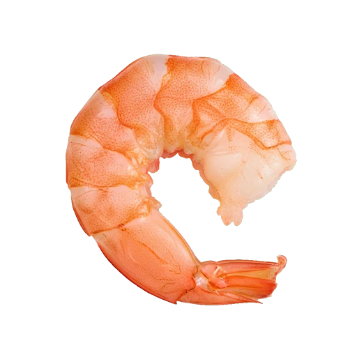 crevettes décortiquées