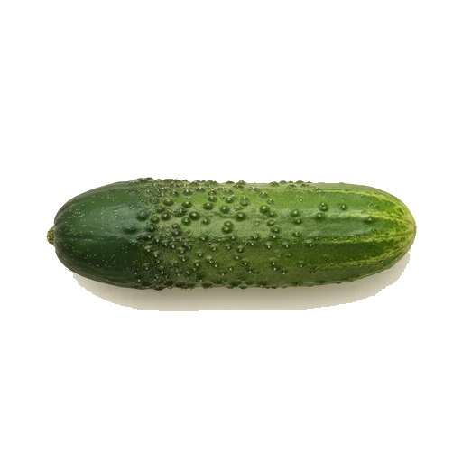 cucumber