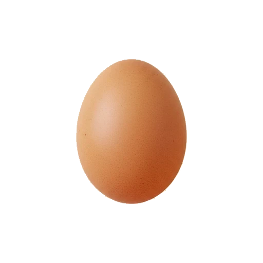 Eier