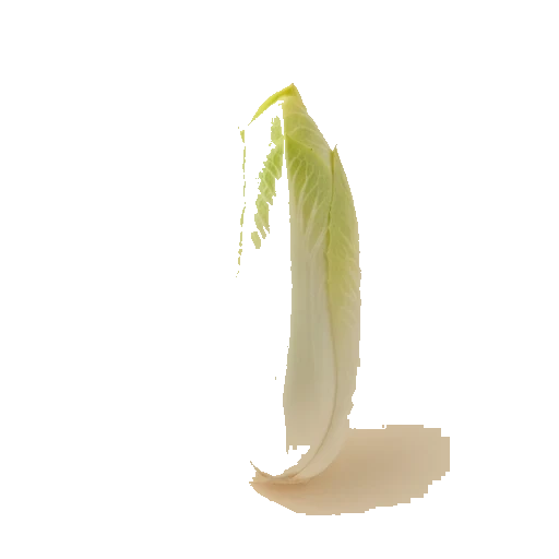 endive