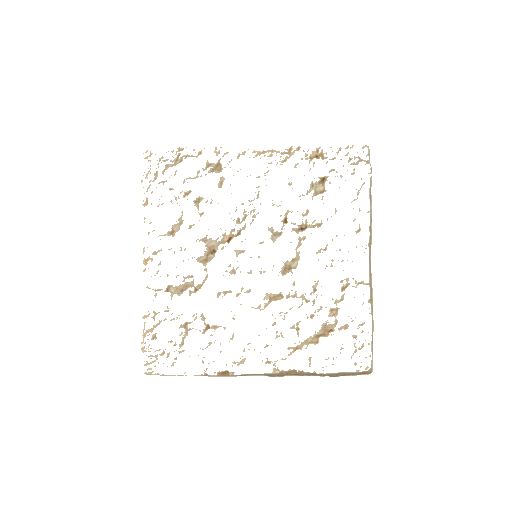 Firm tofu