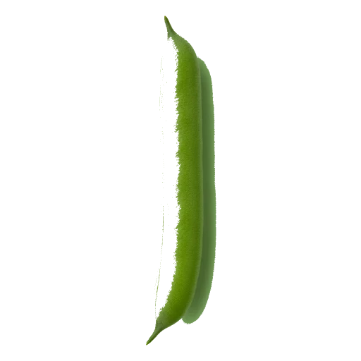grüne Bohnen
