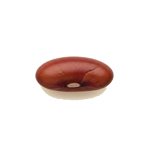 Haricots rouges en conserve