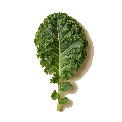 kale