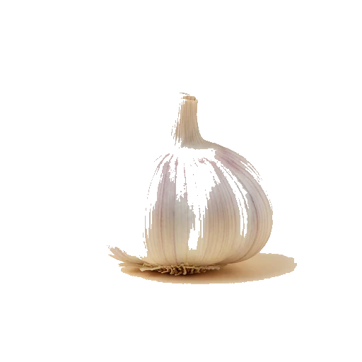 Knoblauch