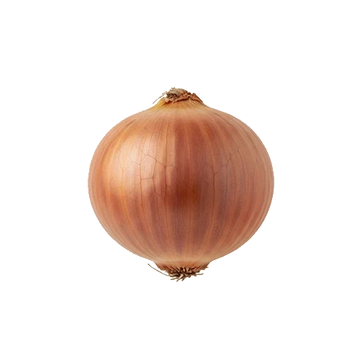 Onion
