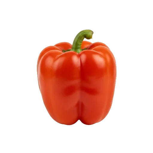 Pfeffer