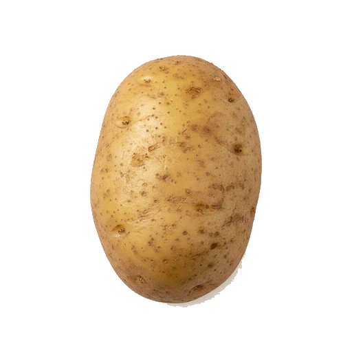 Potato