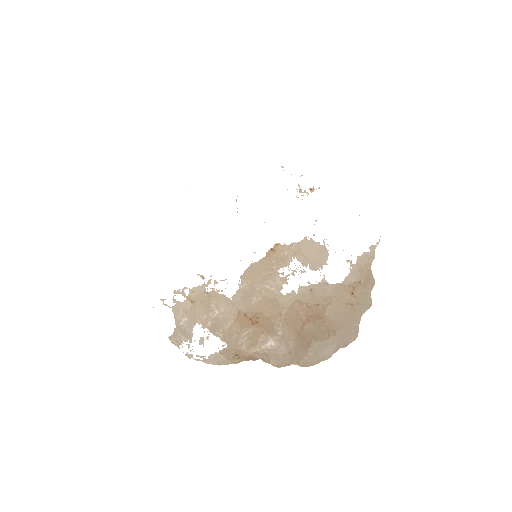 Salt
