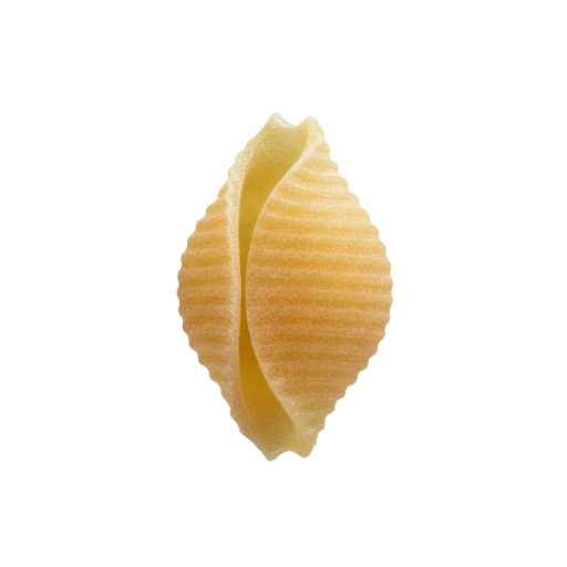 Small pasta shells