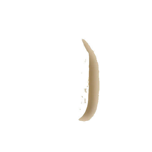 white rice