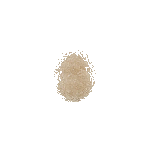 Yeast
