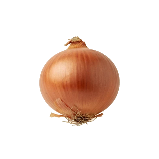Zwiebel